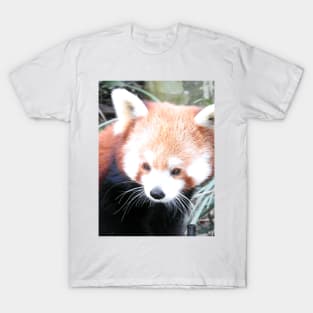 Red Panda T-Shirt